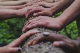 a group of people holding hands on top of a tree